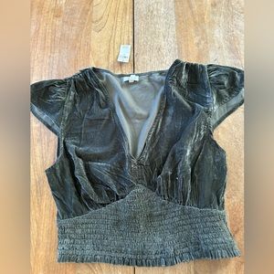 Aerie Crushed Velvet‎ V-Neck Smocked Ruched Flutter Sleeve Crop Top Green S NWT